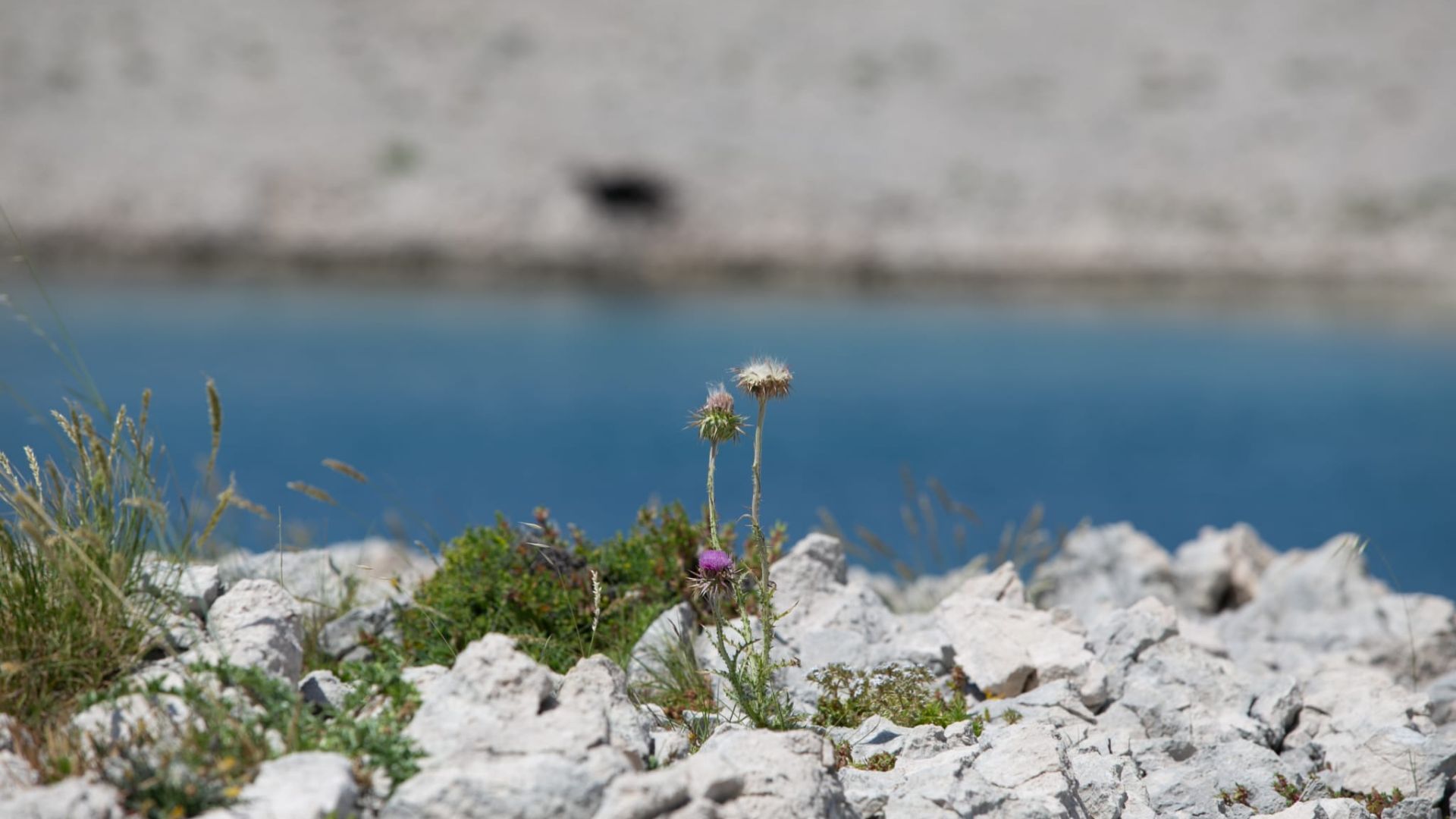 Ljepote otoka Paga: Prekrasni prizori otoka Paga, uključujući plaže, prirodne ljepote, povijesne građevine i autentične detalje iz Novalje i okolice, snimljeni objektivom Nadija Kralja.