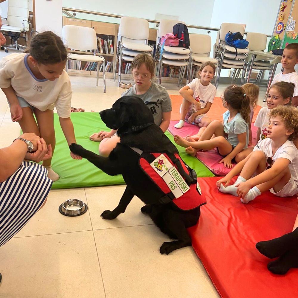 Novalja4Kids 2025 u Gradskoj knjižnici Novalja: Maja Cimbal priča djeci; Tira, terapijski pas, sudjeluje s voditeljicom Maide Arslanagić.